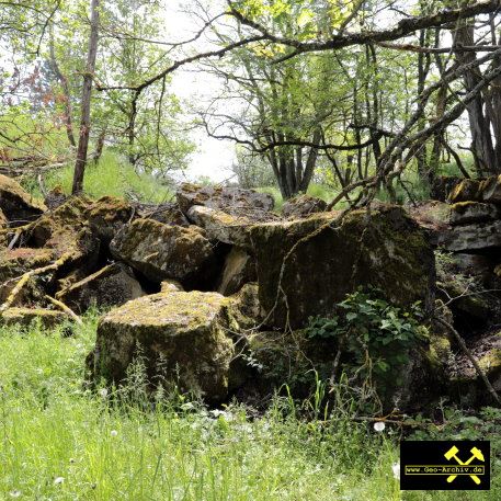 Quaderkalk Stbr. Luetzelbruch bei Lindelbach nahe Wuerzburg, Bayern, (D) - 18. Mai 2023 (29).JPG